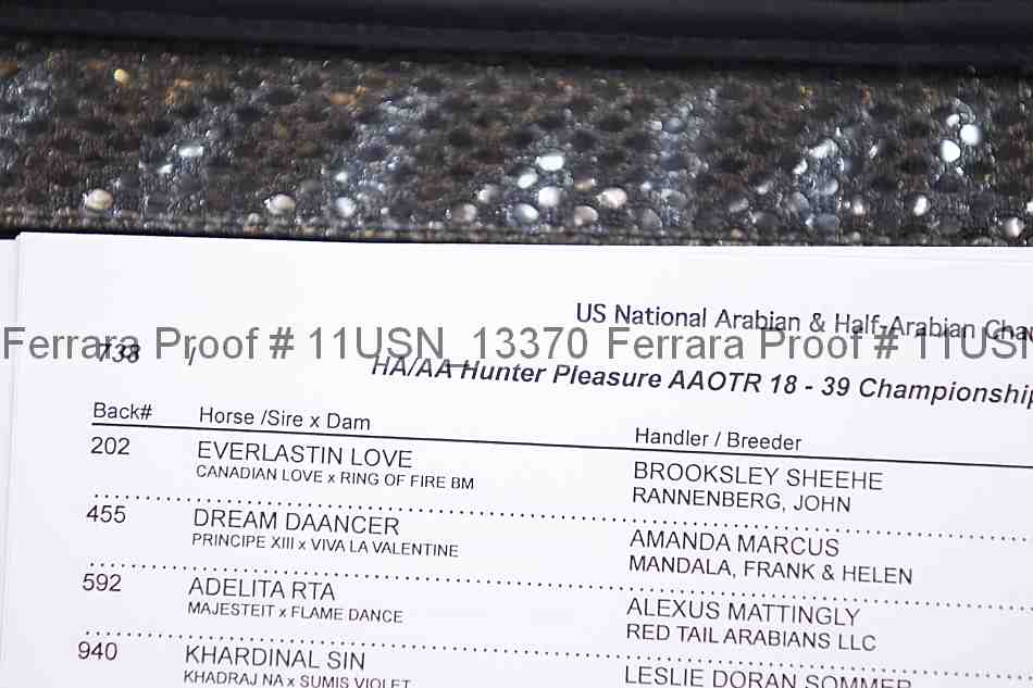 Proof 11usn_13370