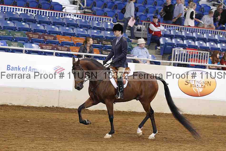 Proof 11usn_13372