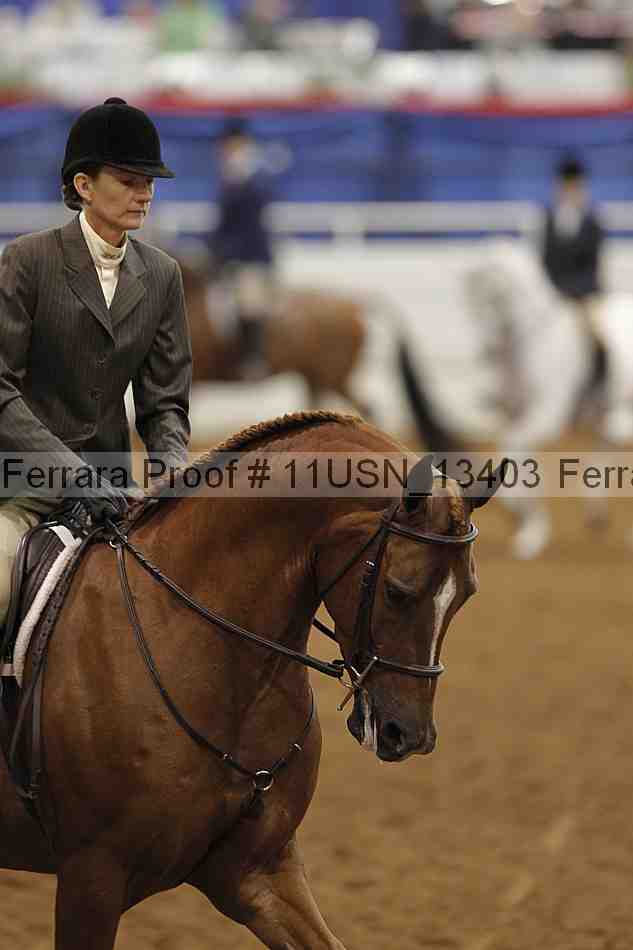 Proof 11usn_13403