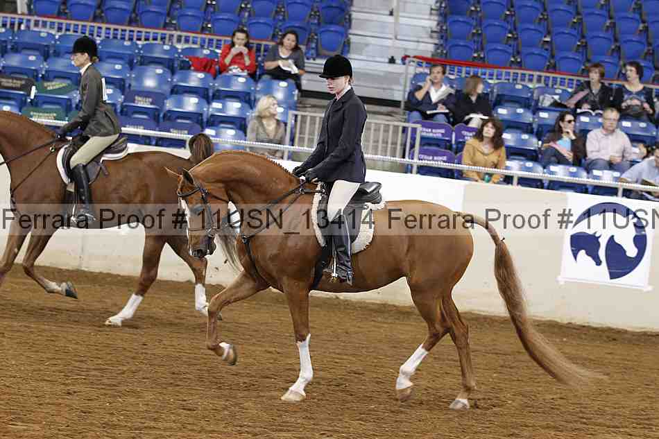 Proof 11usn_13414