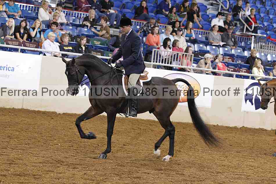 Proof 11usn_10486