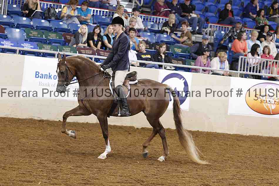 Proof 11usn_10487