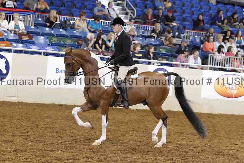 Proof 11usn_10491