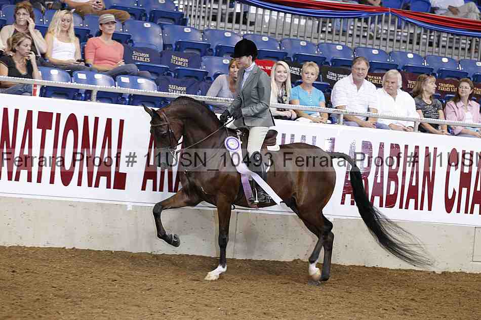 Proof 11usn_10493