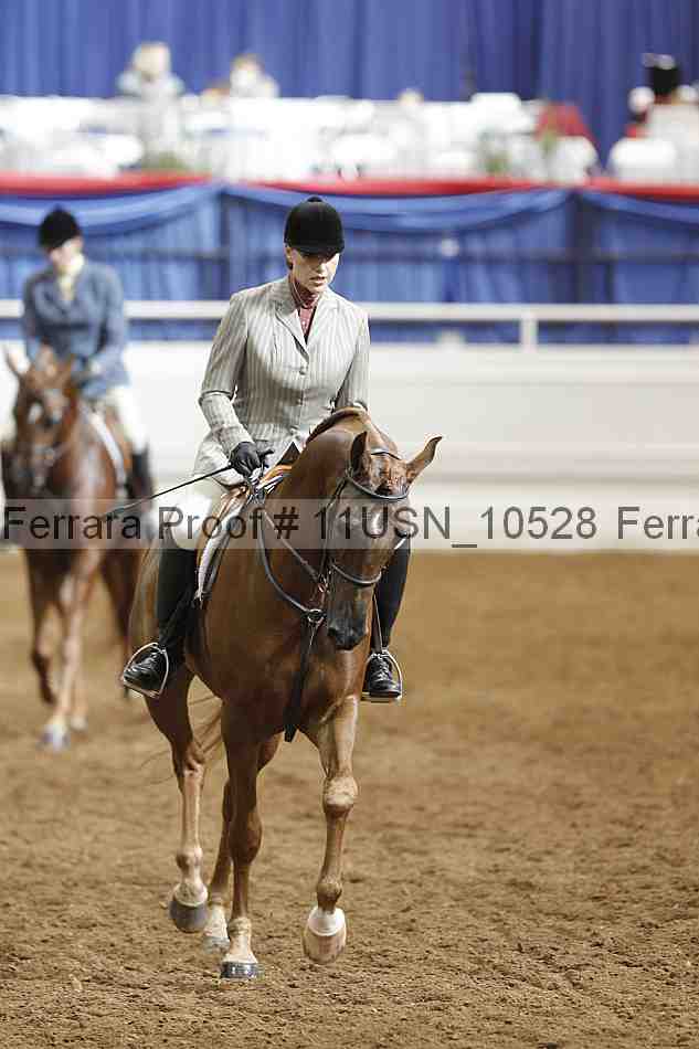 Proof 11usn_10528