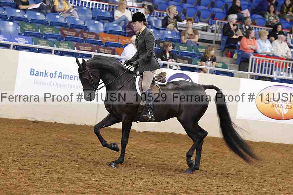 Proof 11usn_10529