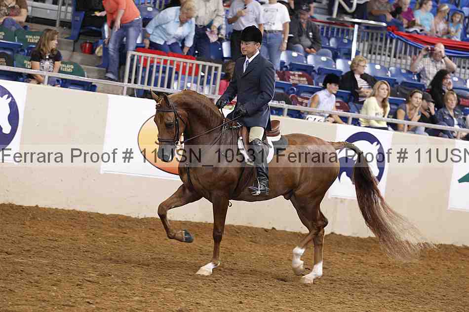 Proof 11usn_10531
