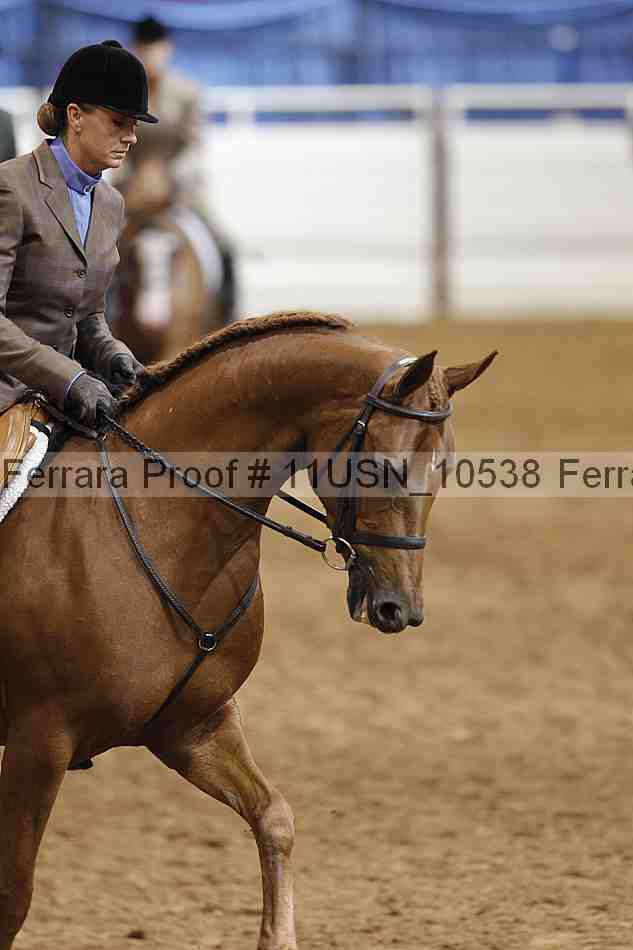 Proof 11usn_10538
