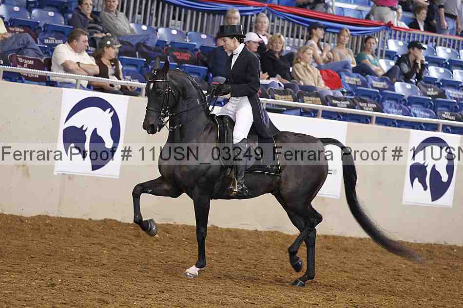 Proof 11usn_03249