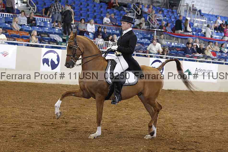 Proof 11usn_03250