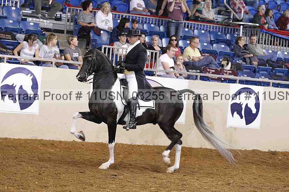 Proof 11usn_03255