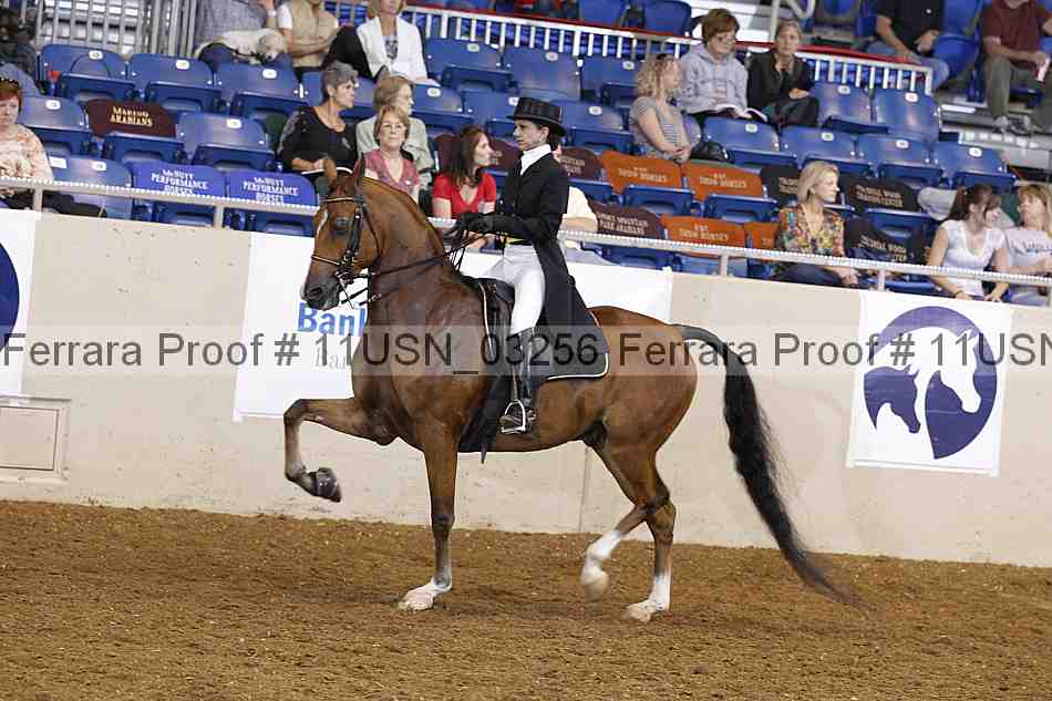 Proof 11usn_03256