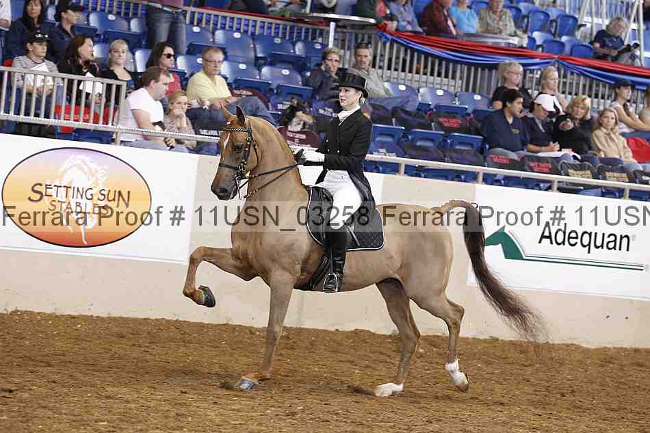 Proof 11usn_03258