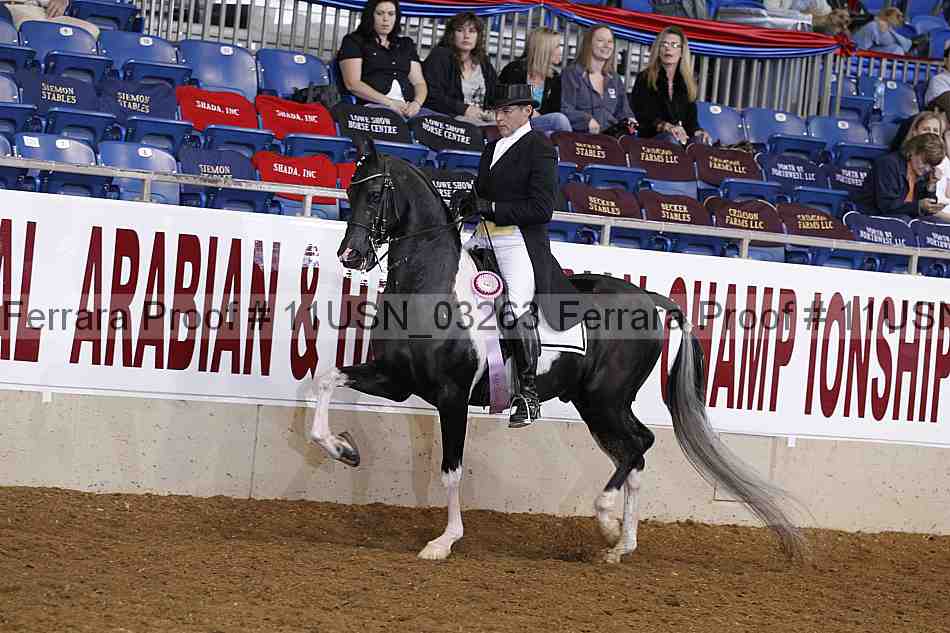 Proof 11usn_03263