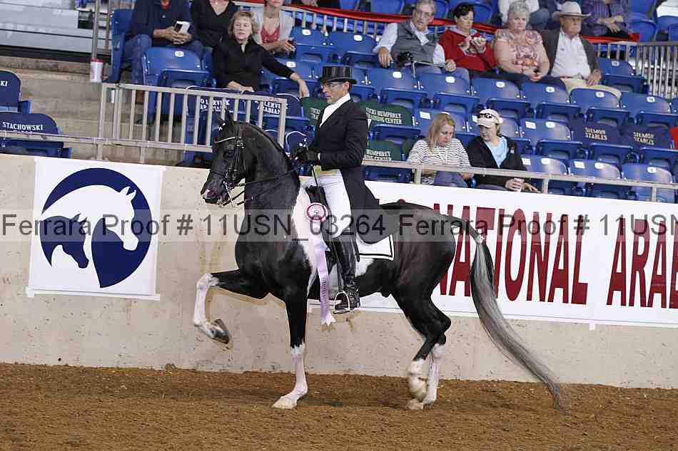 Proof 11usn_03264