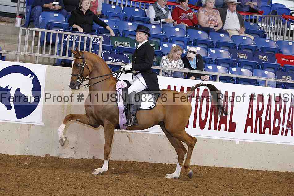 Proof 11usn_03276