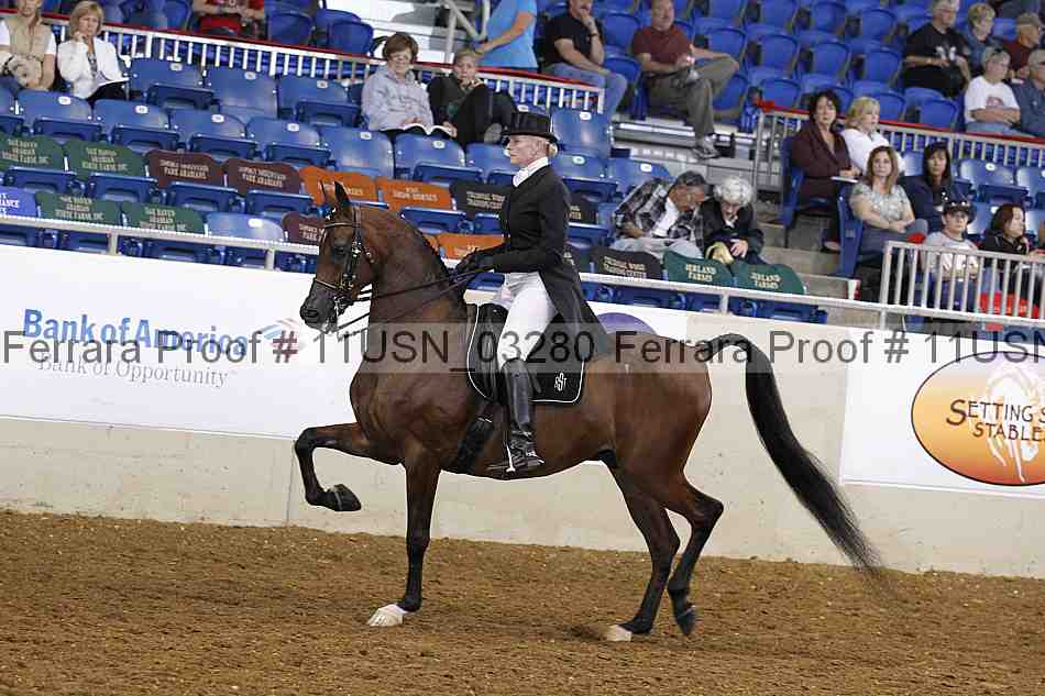 Proof 11usn_03280