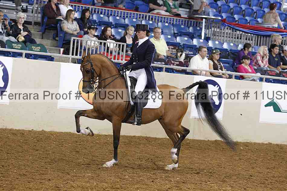 Proof 11usn_03288