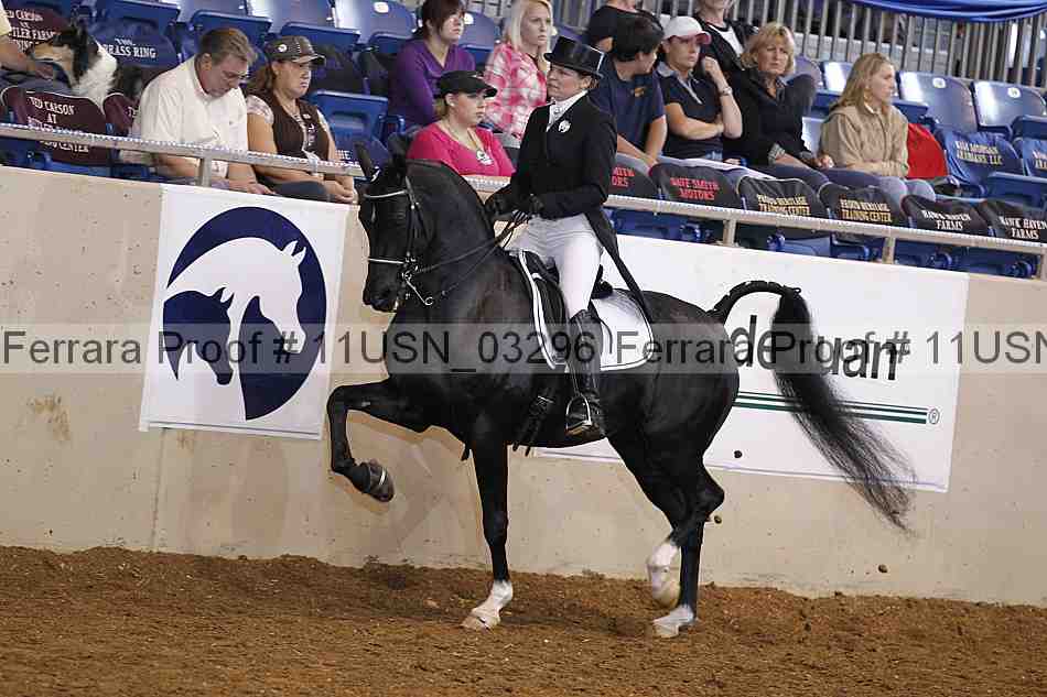Proof 11usn_03296