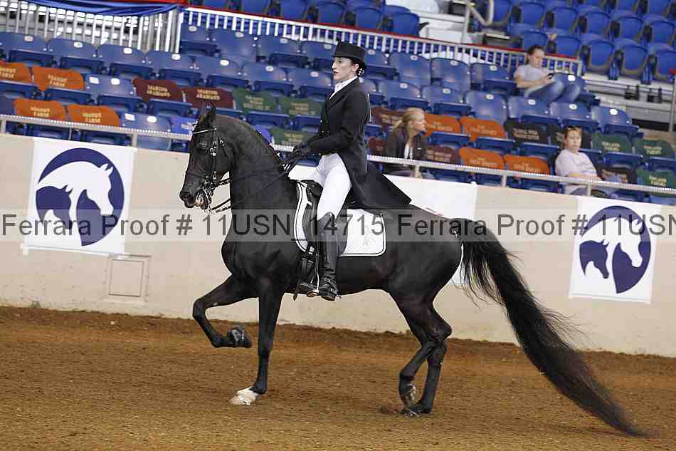 Proof 11usn_14715
