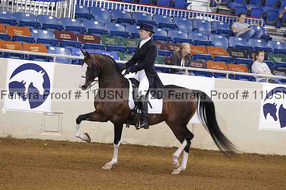 Proof 11usn_14720