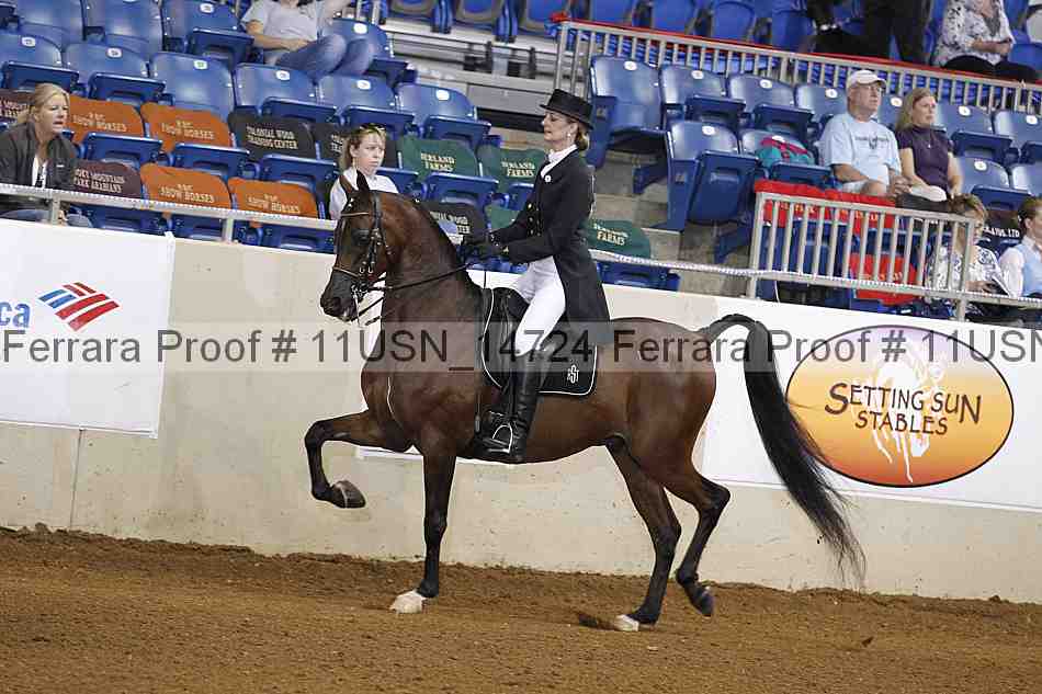 Proof 11usn_14724