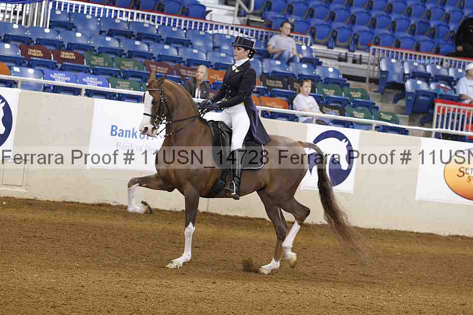 Proof 11usn_14728