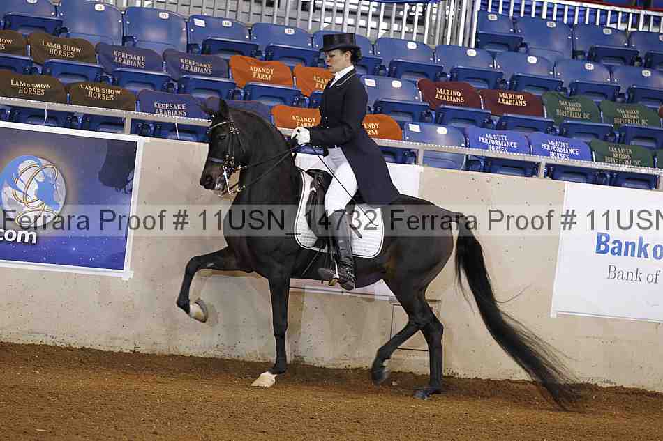 Proof 11usn_14732