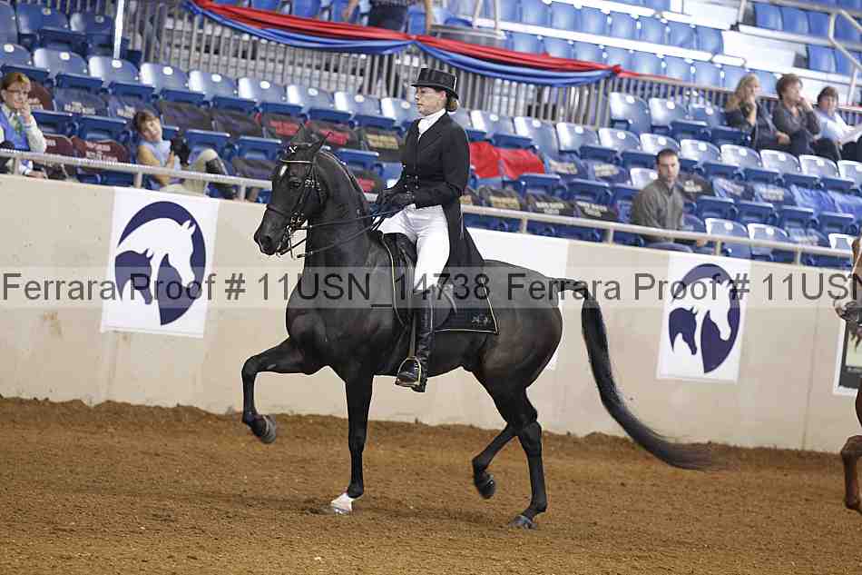 Proof 11usn_14738