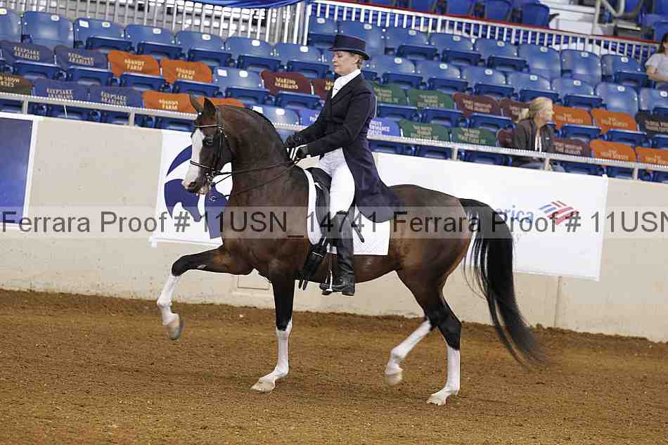 Proof 11usn_14741