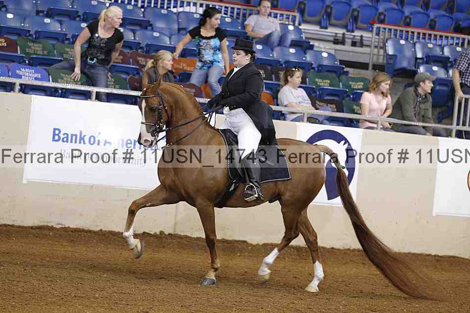 Proof 11usn_14743