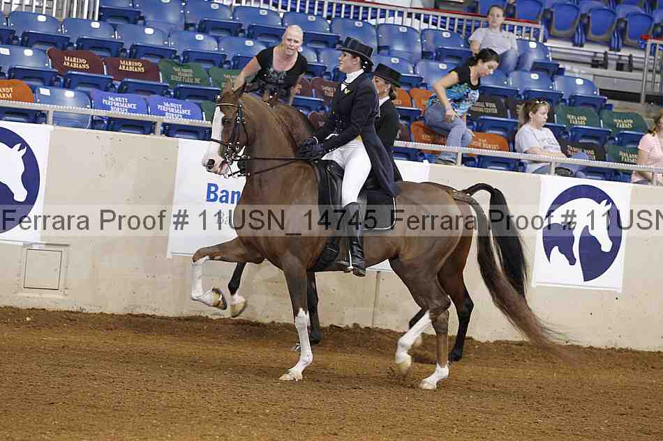 Proof 11usn_14745