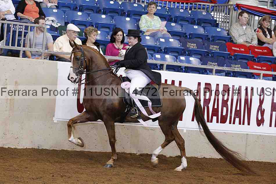 Proof 11usn_14772