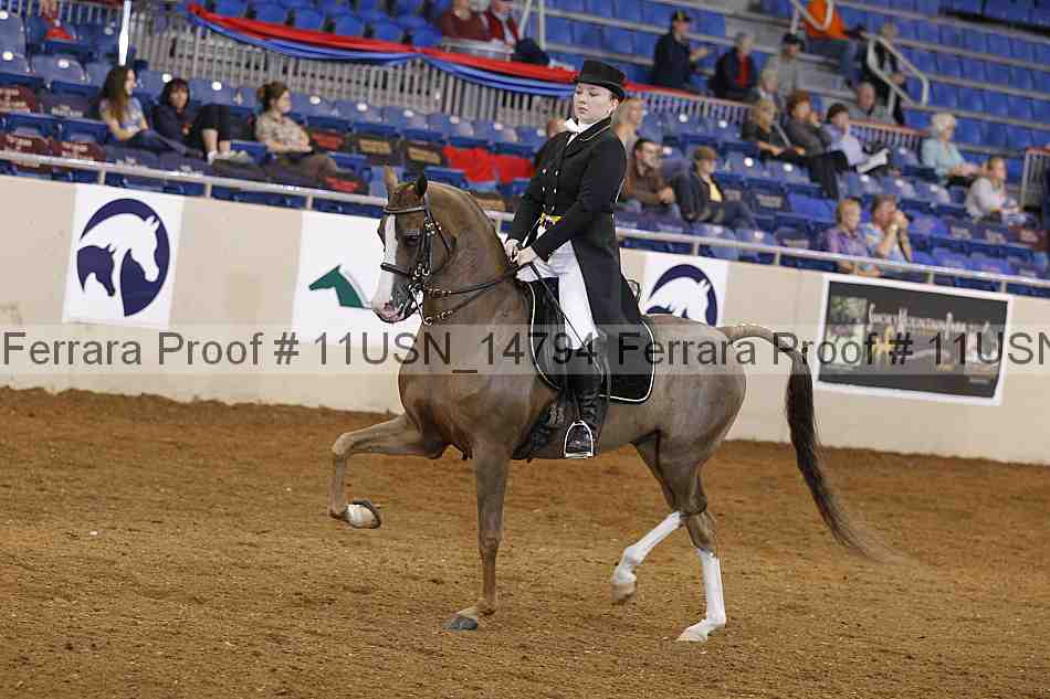 Proof 11usn_14794