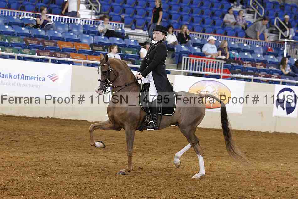 Proof 11usn_14795