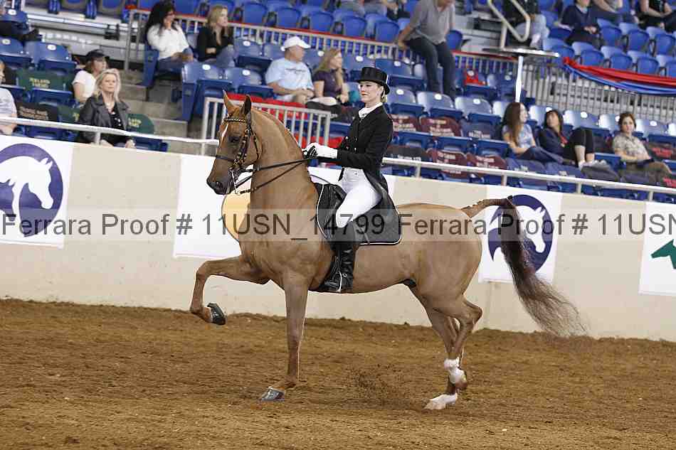 Proof 11usn_14799