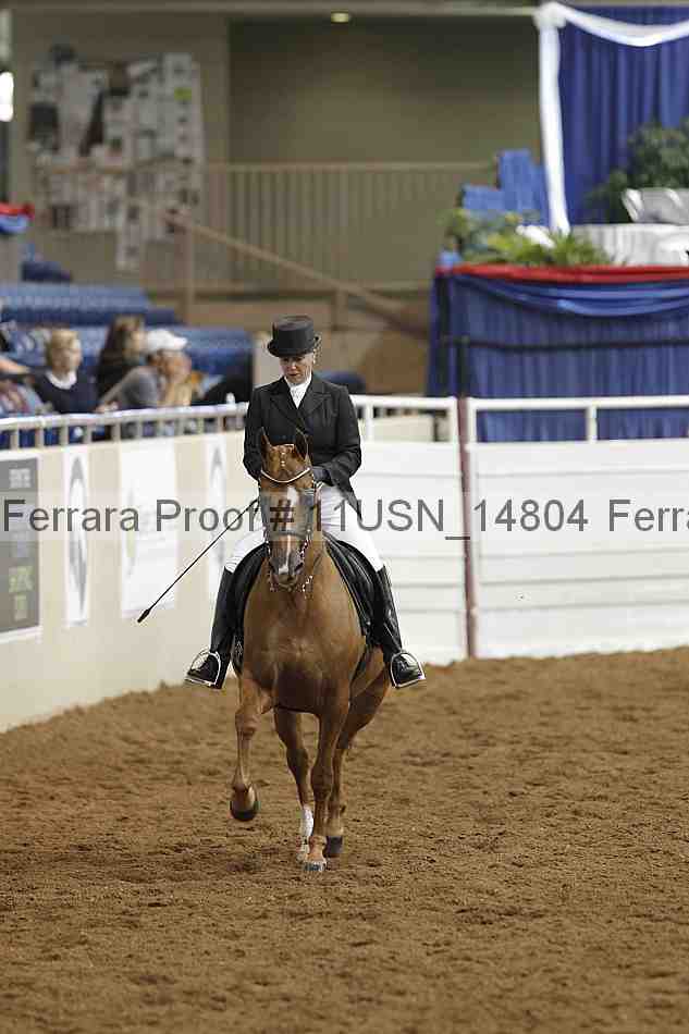 Proof 11usn_14804