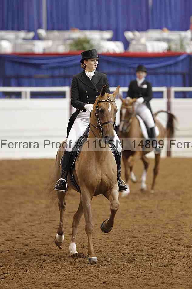 Proof 11usn_14809