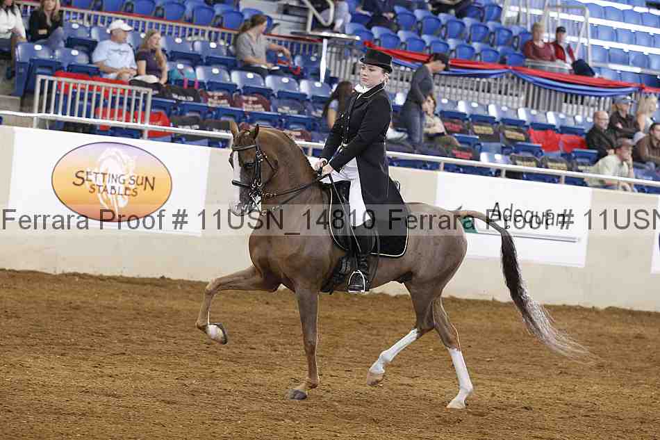 Proof 11usn_14810