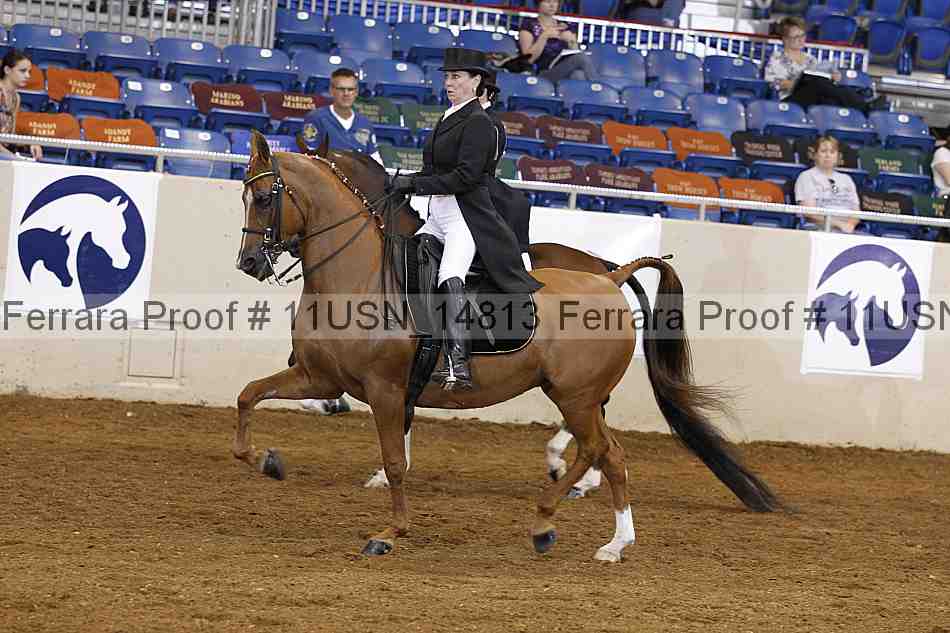 Proof 11usn_14813