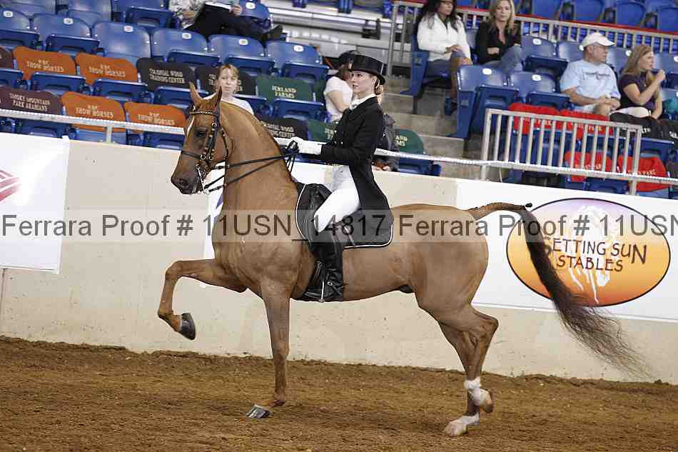 Proof 11usn_14817