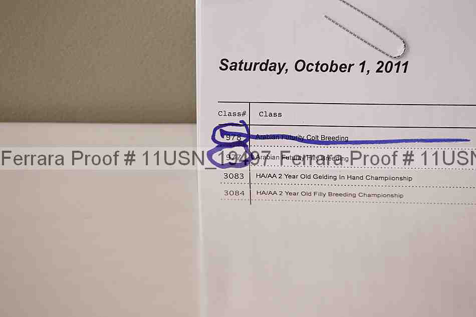 Proof 11usn_19497