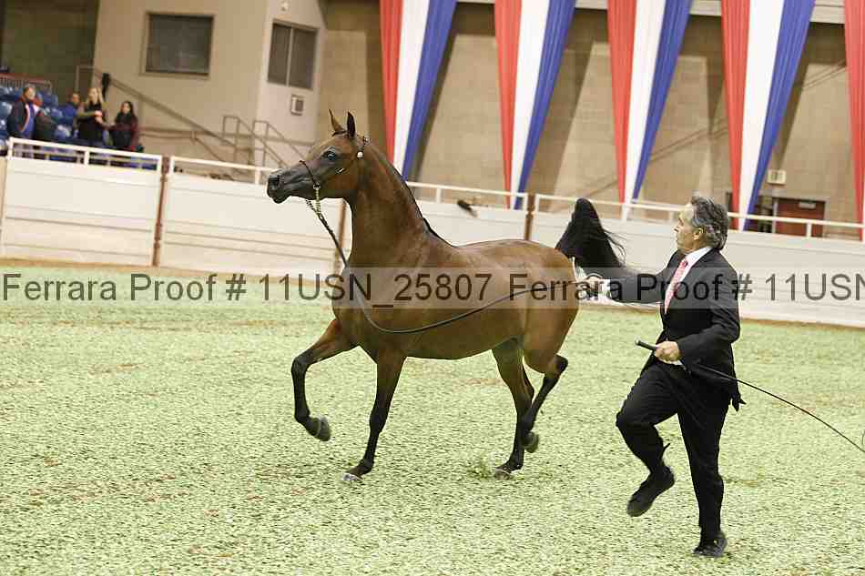 Proof 11usn_25807