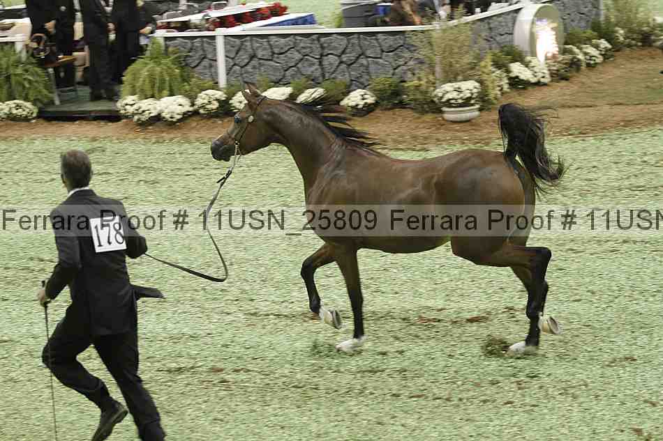 Proof 11usn_25809