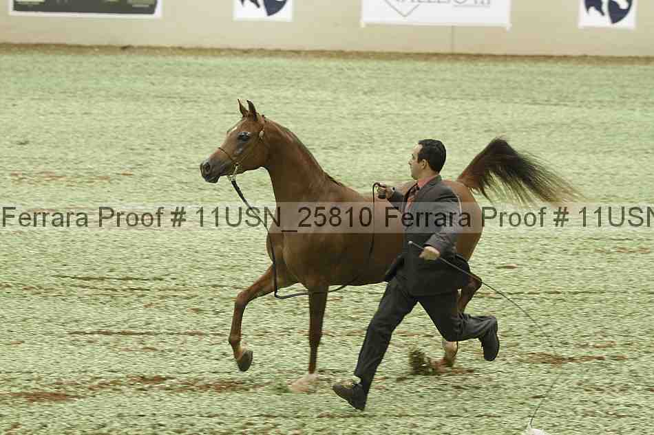 Proof 11usn_25810