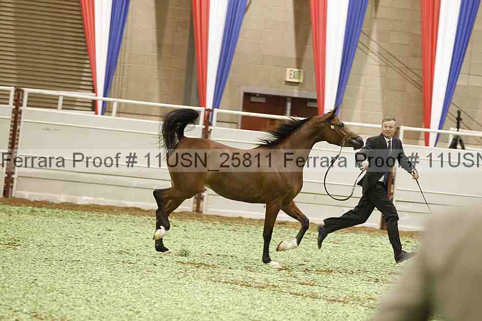 Proof 11usn_25811