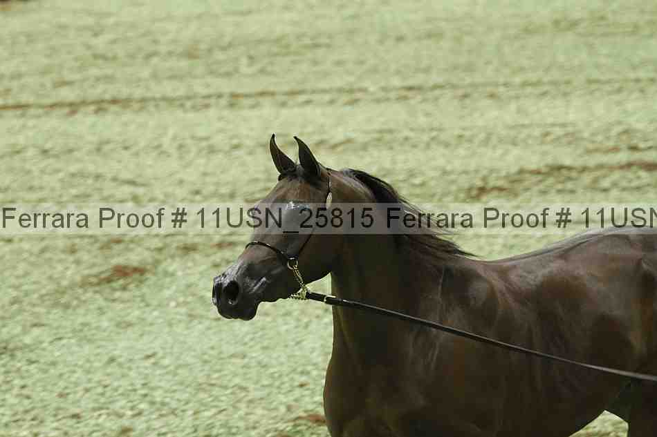 Proof 11usn_25815