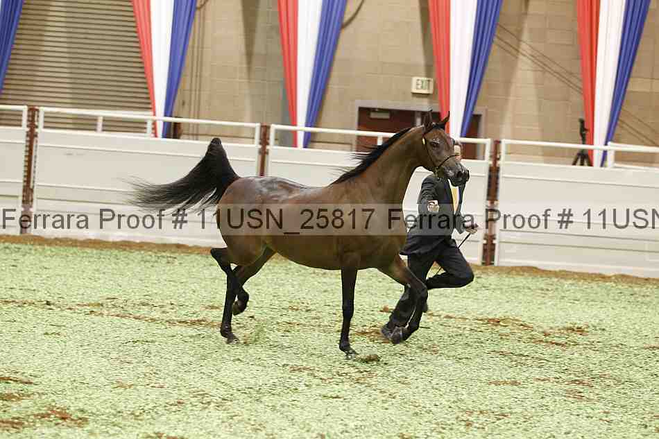 Proof 11usn_25817