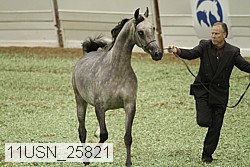 11usn_25821 proof