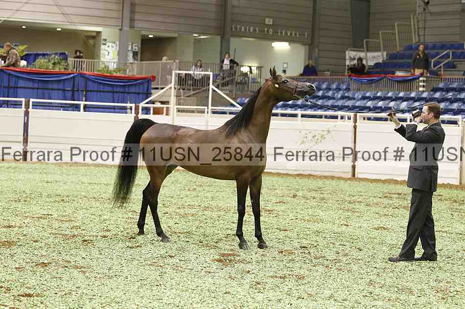 Proof 11usn_25844